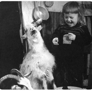 Meet your Posher, Peter